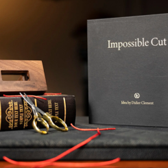 Impossible Cut