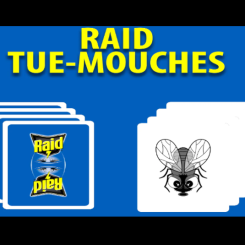 Raid Tue-mouches