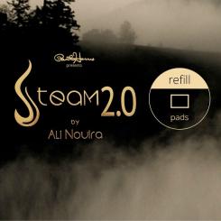 Recharge Steam 2.0 (feuilles)