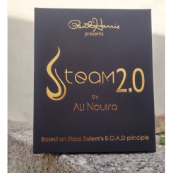 Steam 2.0